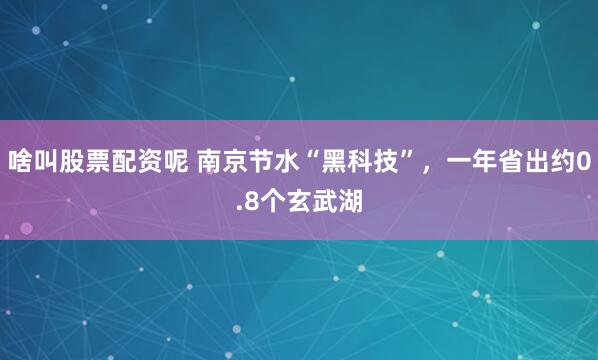 啥叫股票配资呢 南京节水“黑科技”，一年省出约0.8个玄武湖